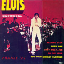 elvis king of rock n roll