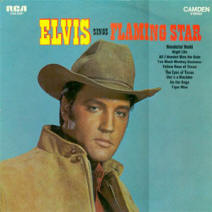 elvis flaming star